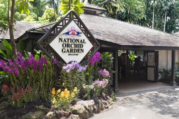 Singapore National Orchid Garden Admission Ticket