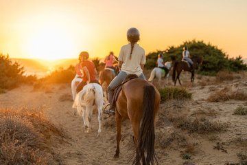 Agadir Horseback Riding Along the Souss River