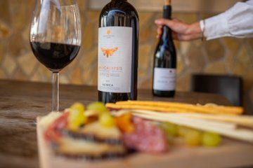 From Naplio: Nemea Wine Experience and Tastings