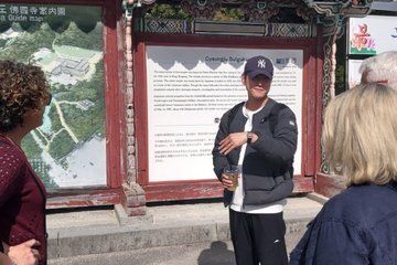 Busan to Gyeongju Van Tour UNESCO Sites Local Eats and Night View