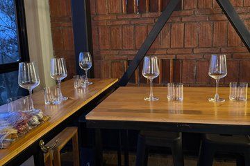 Experience and Tasting of Mexican Wines in Oaxaca