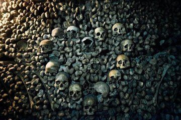 Catacombs History and Dark Paris Exterior Only Tour