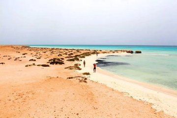 Sharm El Luli Beach Day Trip with Snorkeling Adventure