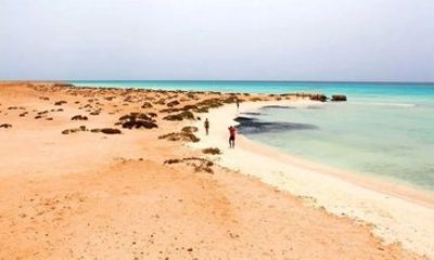 Sharm El Luli Beach Day Trip with Snorkeling Adventure