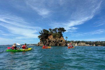 Auckland Coastal Brewery Kayak Tour