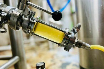 The Experience of Craft Beer From Plant to Pint