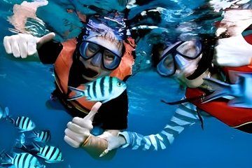 Cham Island Double Snorkeling Adventure from Da Nang