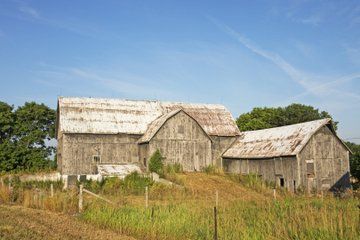 Prince Edward County Private Day Tour from Toronto