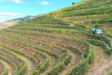 Douro in 4x4 Wine Tasting and Lunch and Boat Tour