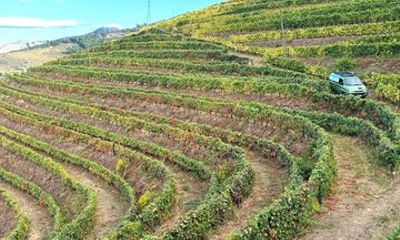 Douro in 4x4 Wine Tasting and Lunch and Boat Tour