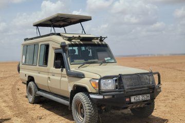 2 Day Amboseli Safari Multi Day Tour