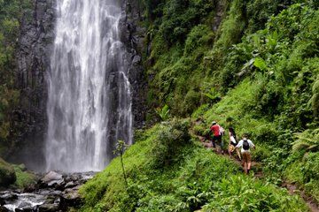Materuni Waterfall Chemka Hot Springs Coffee Tour