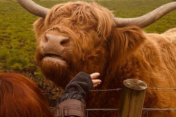 Private Scottish Highlands Tour with Brazilian Guides