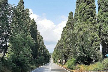 Florence Private Day Trip Bolgheri Wine Experience e Volterra