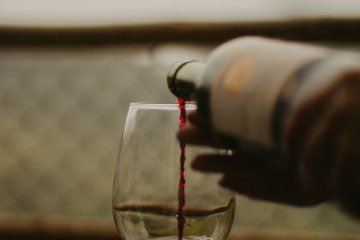 Luxury Winemaker for a Day Experience in Penedès from Barcelona