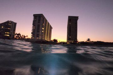 Snorkeling Palm Beach, Ocean Ridge, Blue Heron Bridge, Boca Raton