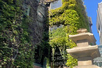 Decoding K-Culture : Seoul Contemporary Art Walk