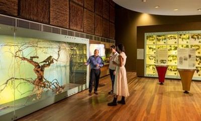 Hosted Tour and Iconic Wine Tasting in Adelaide