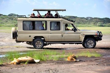 5-Day Epic Tanzania Safari Tour
