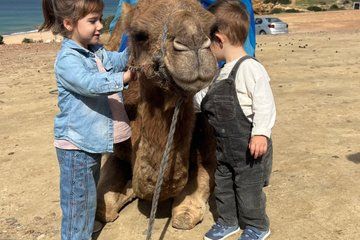 Full Day Tailor Made Experience in Tangier