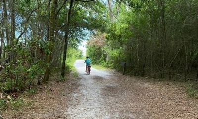 Electric Bike Tour Amelia Island & Big Talbot IS (Small Group)
