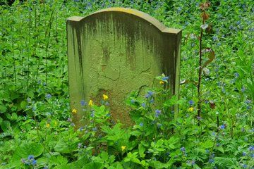 Baleful Brighton a Chilling New Ghost Walk Brighton