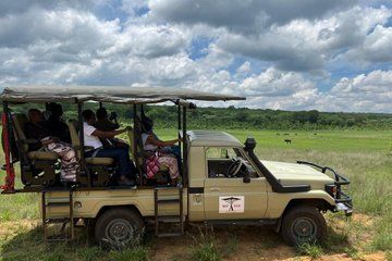 Chobe and Hwange National Park Full Day Tours