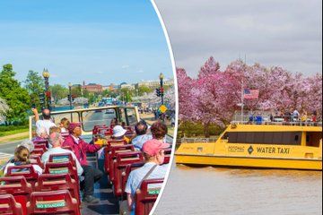 All-Day Water Taxi Pass & Hop-on Hop-off Bus Tour