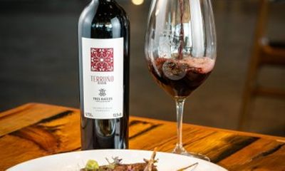 Experience in Vineyard with Guided Tour and Select Tasting