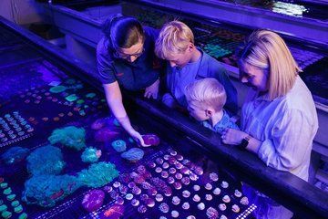 One Hour Coral Farm Tour, Discover Australia's Marine Life