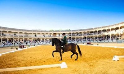 From Torremolinos 7 Hour Ronda Tour + Gift
