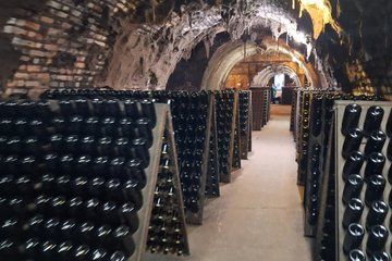 Bairrada Sommelier Experience Wine Tasting and Lunch