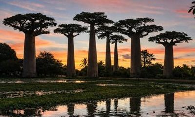 6 Day Madagascar Discovering Rainforest in Lemurs and Baobabs