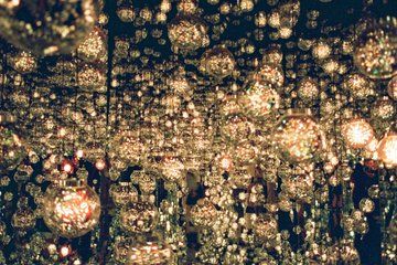 Kyoto Morning Tour Fushimi Inari Shrine and TeamLab Bio-Vortex