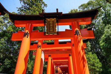 Kyoto Early Bird with Fushimi Inari Nijo Castle and Kinkaku-ji