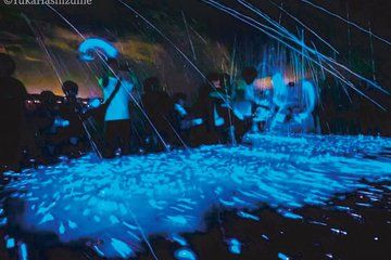 Magical Blue Light Awaji Island Sea Firefly Watching Tour