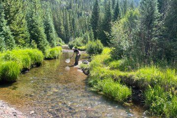 8 Hours Guided Fly Fishing Trips in Rocky Mountain National Park