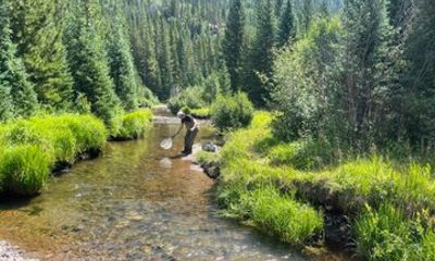 8 Hours Guided Fly Fishing Trips in Rocky Mountain National Park