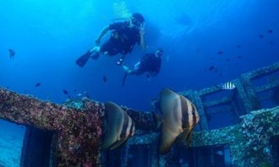 Racha Island Full-Day Dive Trip Phuket (3 Dives)