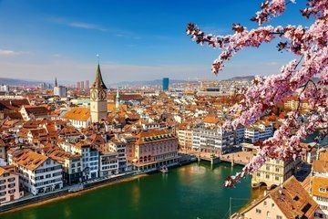 Private Day Tour from Zurich to Interlaken with Scenic Stops