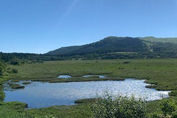 Private Guided Kirigamine Tour in Nagano: Marsh Walk & Lunch