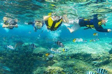 Cham Island Tour Snorkeling or Diving