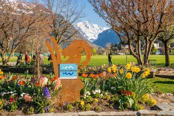 Private Day Tour to Interlaken, Grindelwald & Lauterbrunnen