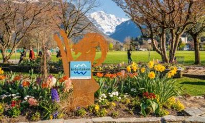 Private Day Tour to Interlaken, Grindelwald & Lauterbrunnen