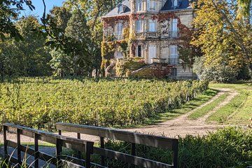 Bordeaux Private Wine Tours at Left Bank Graves