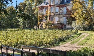 Bordeaux Private Wine Tours at Left Bank Graves
