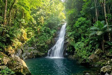 São Paulo Waterfalls Hike Beach View and Chairlift Tour