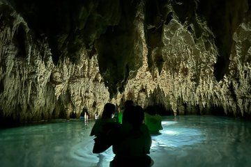 Tour to Cenotes Cavern without Crowds and MEXICAN TACOS