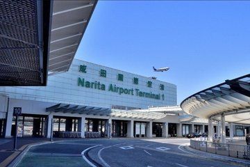 Narita Airport: Tokyo/Yokohama Cruise Port Private Transfer