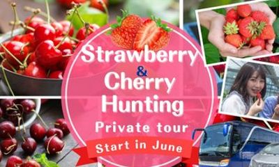 Cherry and Strawberry Hunting Sapporo Complete Package